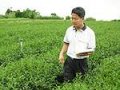 用心看臺灣