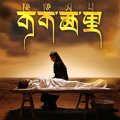 可可西里