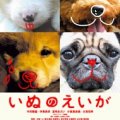 狗狗心事