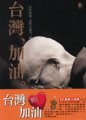 台灣, 加油